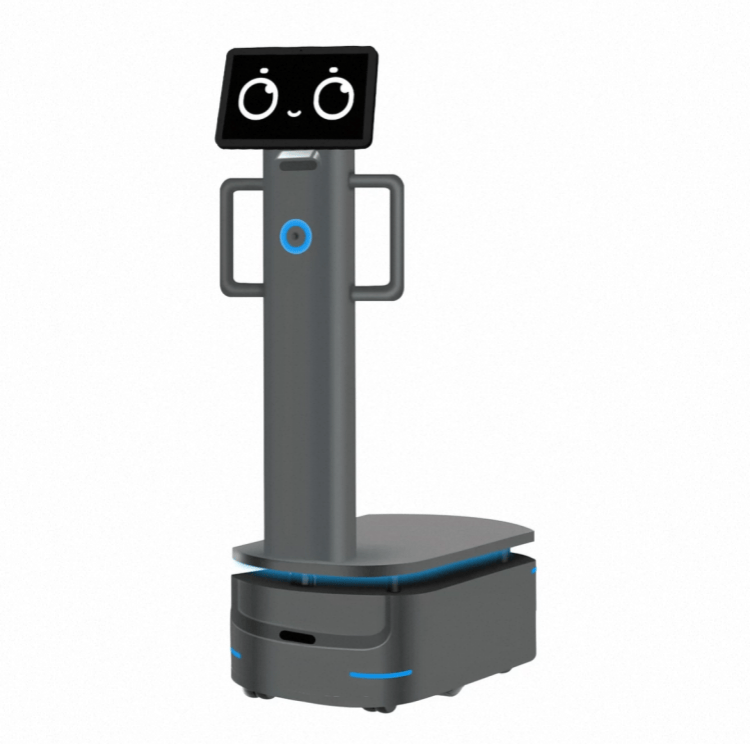 Robot za teške terete za industrijsku dostavu
