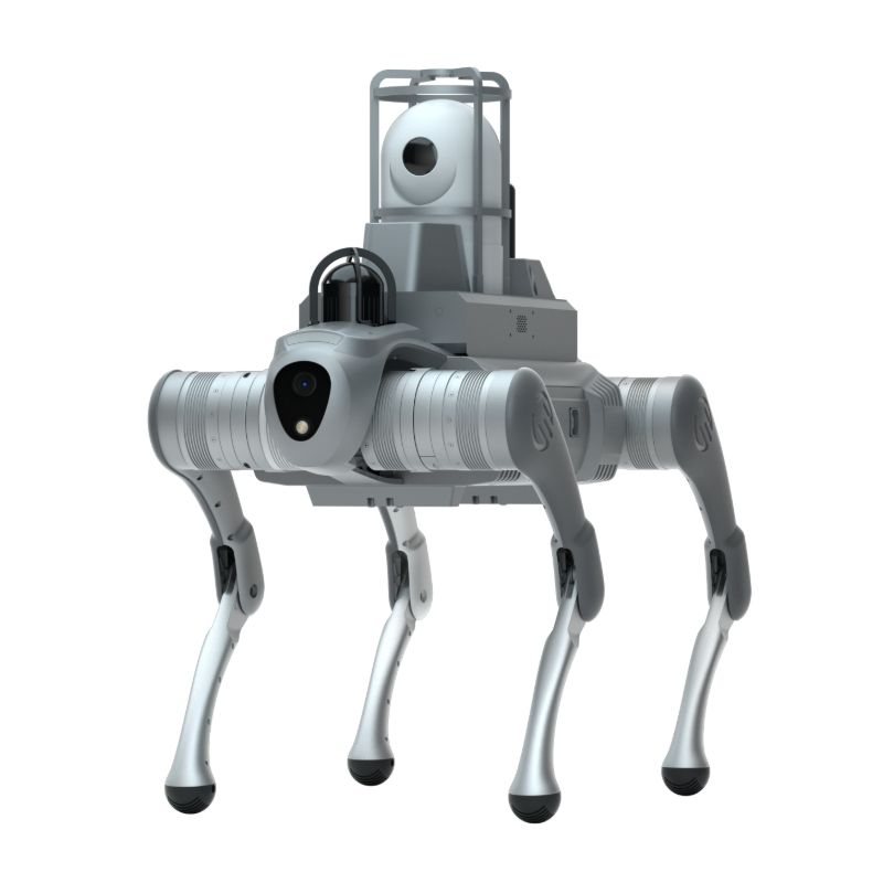 Četveronožni robot pas s četveronožnom robotskom šasijom